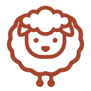 生肖羊