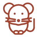 生肖鼠